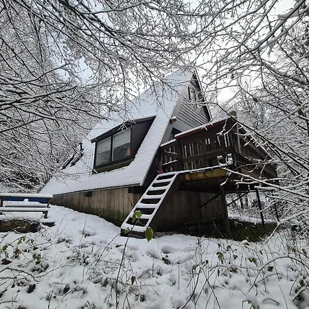 シャレー Gurdy's *