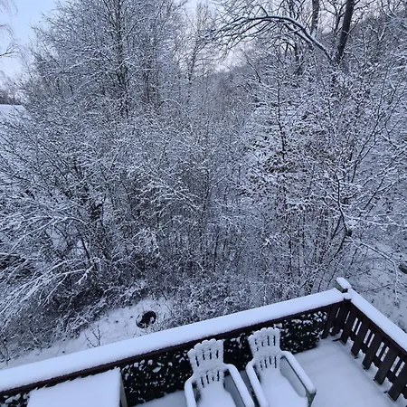 Gurdy's * Дюрбюи