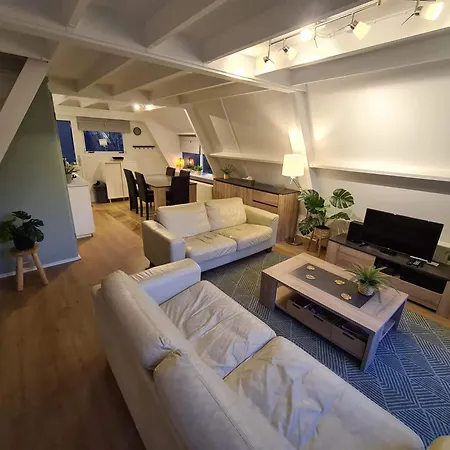 シャレー Gurdy's